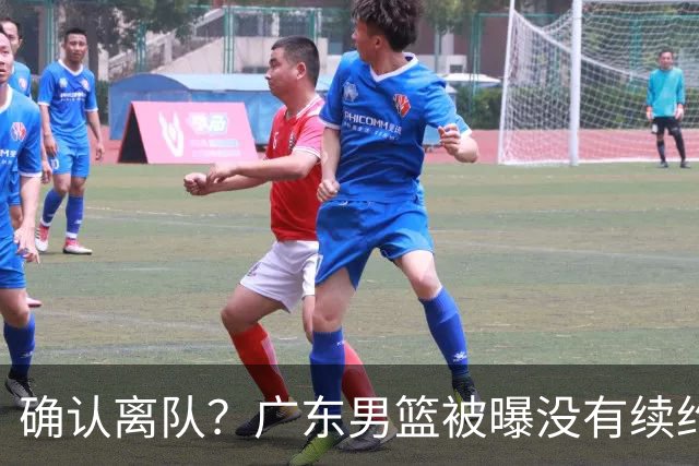 确认离队？广东男篮被曝没有续约杜锋，新主教练人选正式曝光！